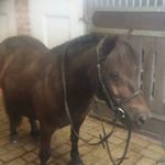 Vincent Nick Lindberg - @vincentnicklindberg - Instagram