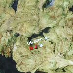 Nick Lira - @og_bitch_1677 - Instagram