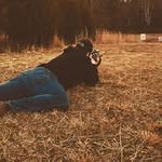 Nick Lockard - @nick_lockard67 - Instagram