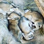 Nick Lodge - @tactical_nuke34 - Instagram