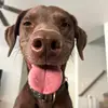 Nick Long - @nick.long78 - TikTok
