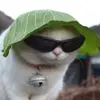 .nicklong - @.nicklong - TikTok
