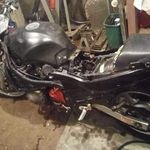 Nick Loomis - @nick.loomis.528 - Instagram