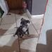 Nick Lopes - Facebook