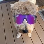 Nick Lordi - @nicklordi27 - Instagram