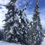 nick lower - @nick.lower - Instagram
