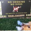 Nick Lowery - @nick.lowery08 - TikTok