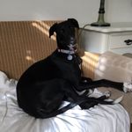 Nick Luckett - @luckett_nick - Instagram