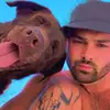 Nick Luisi - @nick.luisi - TikTok