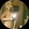 lupernick - @lupernick - TikTok