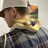 Nick_lykins05 - @nick_lykins05 - TikTok