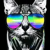 Nick Maag - @nick.king08 - TikTok