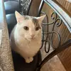 Nick.Maas - @nick.maas - TikTok