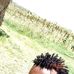 Nick Nico Maasai - Facebook