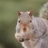 nickmadeline - @nickmadeline - TikTok