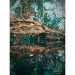 nick _mahant _ji - @nick_mahant - Instagram