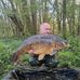 Nick Maher - Facebook