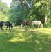 Nick Maier - Facebook