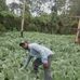 Nick Mugo - Facebook