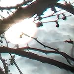 Nick Major - @nicksmajor - Instagram