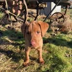 Nick Major - Facebook