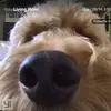 Nick Majors - @nickmajors8 - TikTok