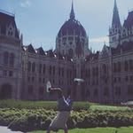 Nick Mango - @nick.mango.1 - Instagram