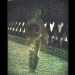 Nick Mango - @nickmango58 - Instagram