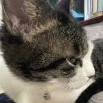 点心を作る人 - @nick_man.no.1 - Instagram