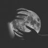 Nick Manseau - @seethatwolf - TikTok