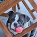 Nick Marro - Facebook