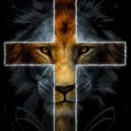 Nick Marx - Facebook