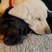 Nick Maselli - Facebook