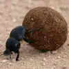 Nick Mathias - @nick.mathias0 - TikTok