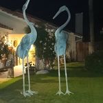 Nick Mathias - @nick.mathias.792 - Instagram