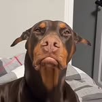 Nick Mathis - @nic.kmathis - Instagram