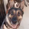 Nick Maurer876 - @nickmaurer2979 - TikTok