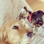 Nick Maurer - @maukid2 - Instagram