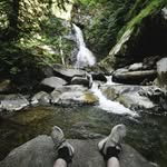 Nick Maxwell - @nickmax_well - Instagram
