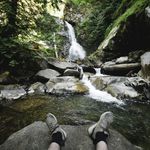 Nick Maxwell - @nickmax_well - Instagram