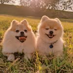 @nick_maya_ - Instagram