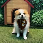 @nick_maya__ - Instagram