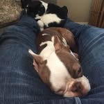 Nick  Mayfield - @roguezag - Instagram