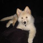 Nick McCann - @nick.mccann.520 - Instagram