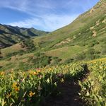 Nick McGregor - @nickmcgregor22 - Instagram