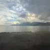 nick.mcguiree - @nick.mcguiree - TikTok