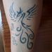 Nick Mcintosh - Facebook