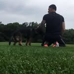 Nick Mercado - @arlen__1_iss - Instagram