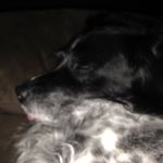 Nick Miceli - @nman1196 - Instagram