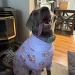 Nick Miceli - @sarge8379 - Instagram